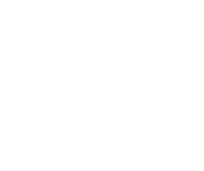 Boyes Group Realty